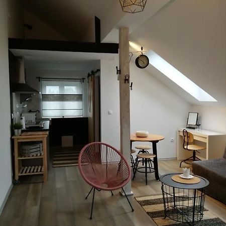 드레즈니크그라드 Studio Apartman Hana 아파트 외부 사진