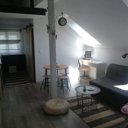 드레즈니크그라드 Studio Apartman Hana 아파트 외부 사진