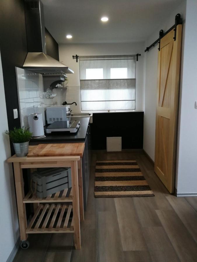 드레즈니크그라드 Studio Apartman Hana 아파트 외부 사진