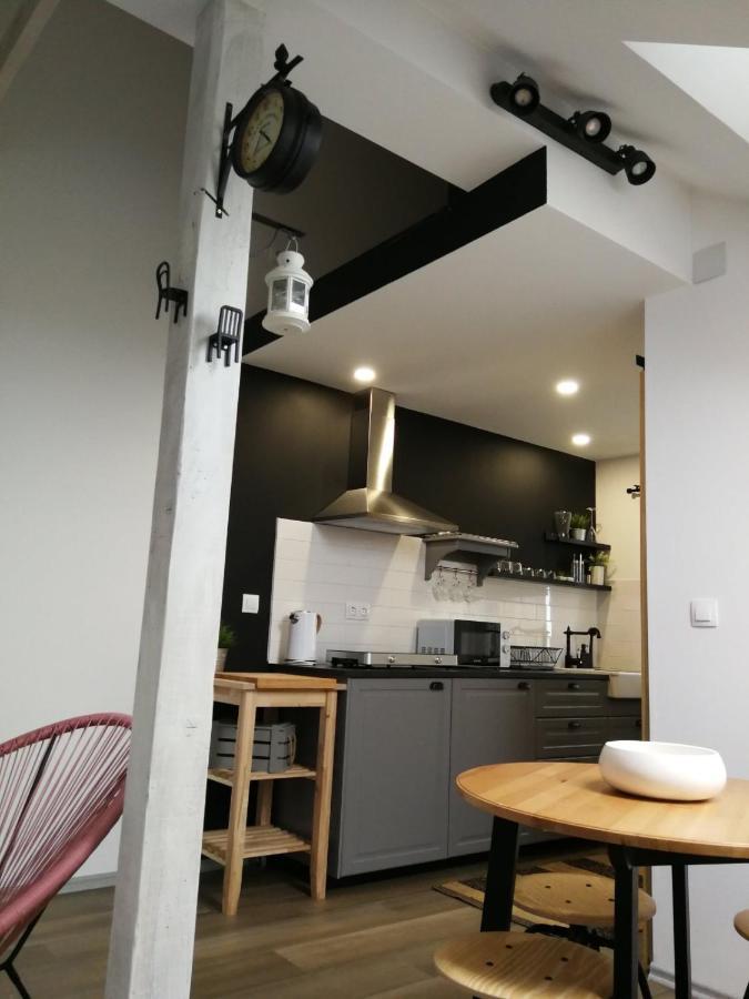 드레즈니크그라드 Studio Apartman Hana 아파트 외부 사진