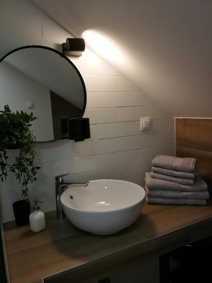 드레즈니크그라드 Studio Apartman Hana 아파트 외부 사진