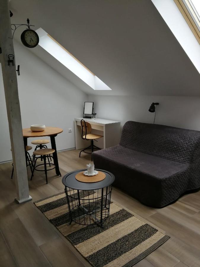 드레즈니크그라드 Studio Apartman Hana 아파트 외부 사진