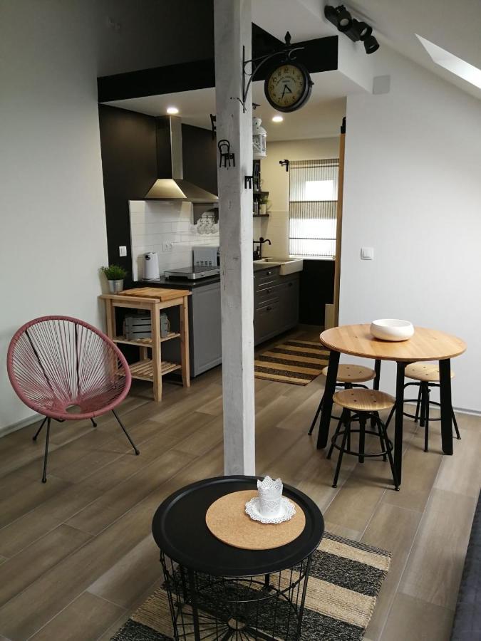 드레즈니크그라드 Studio Apartman Hana 아파트 외부 사진