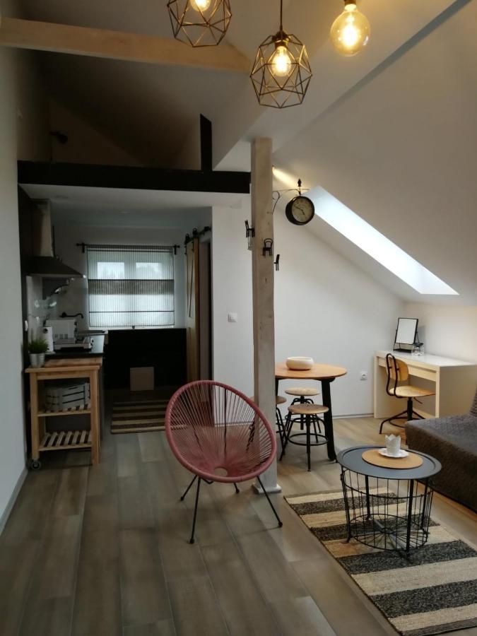 드레즈니크그라드 Studio Apartman Hana 아파트 외부 사진
