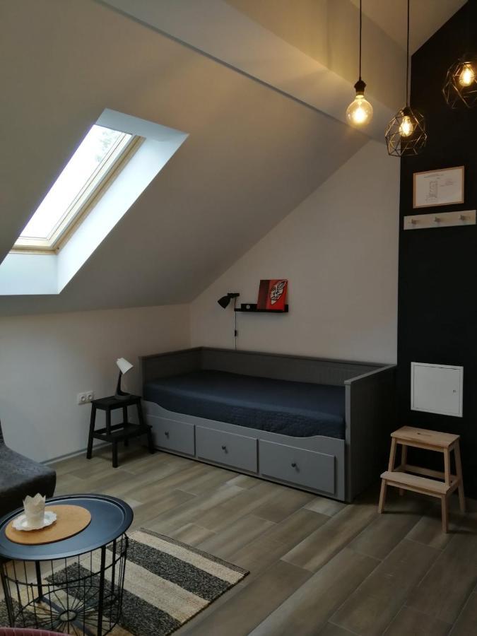 드레즈니크그라드 Studio Apartman Hana 아파트 외부 사진